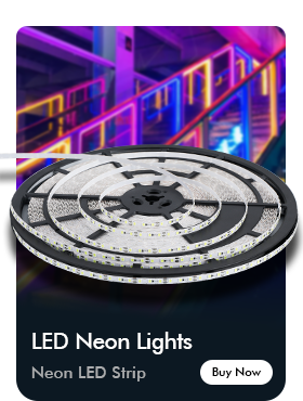 led霓虹灯贝
